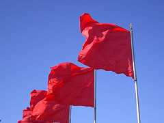 Photo by Rutger van Waveren, http://www.flickr.com/photos/rvw/116017204/ Red flags in credit analysis may hint at future debt collection problems
