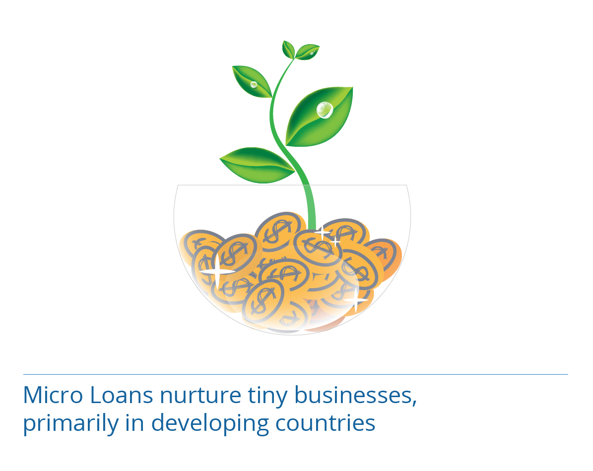 Microloans nurture tiny businesses, primarily in developing countries.